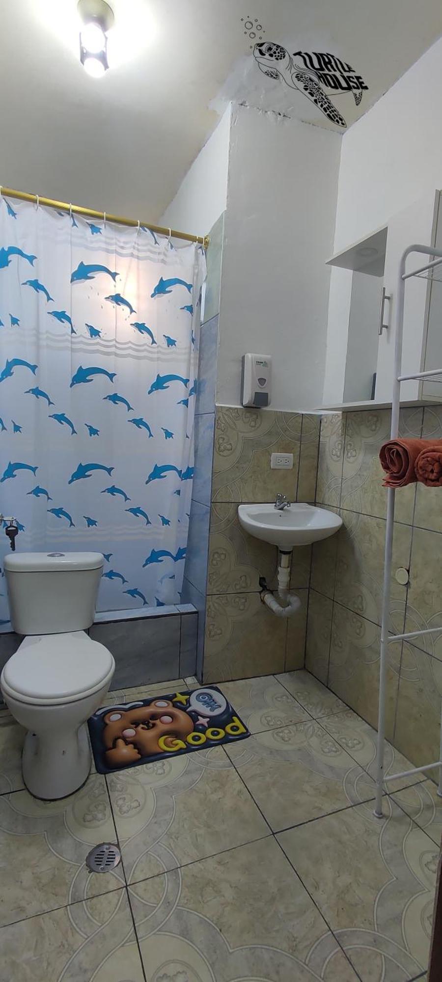 巴克里索莫雷诺港Tortuga House公寓 外观 照片